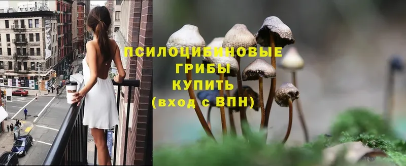 МЕГА ONION  Лагань  Галлюциногенные грибы Psilocybine cubensis 